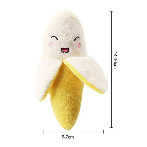 Squeaky Plush Chew Toys